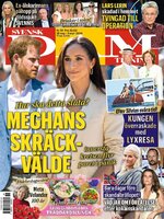 Svensk Damtidning